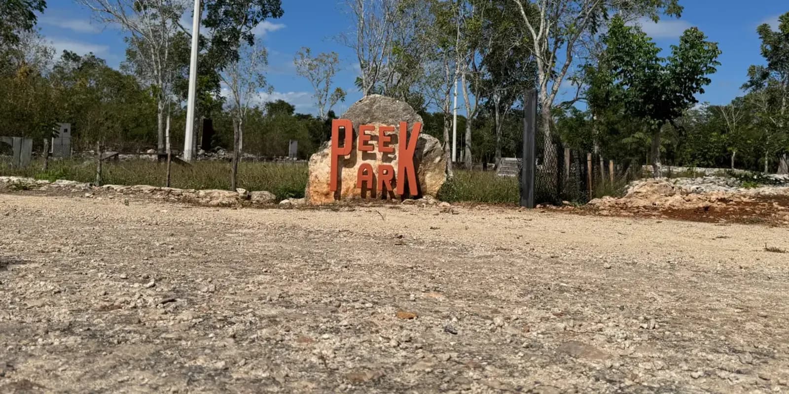 Vegetación característica del interior de Yucatán en el proyecto AINA